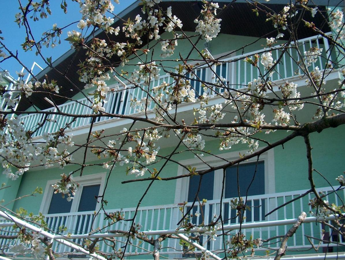 Pansion Devotions Hotel Međugorje Екстериор снимка